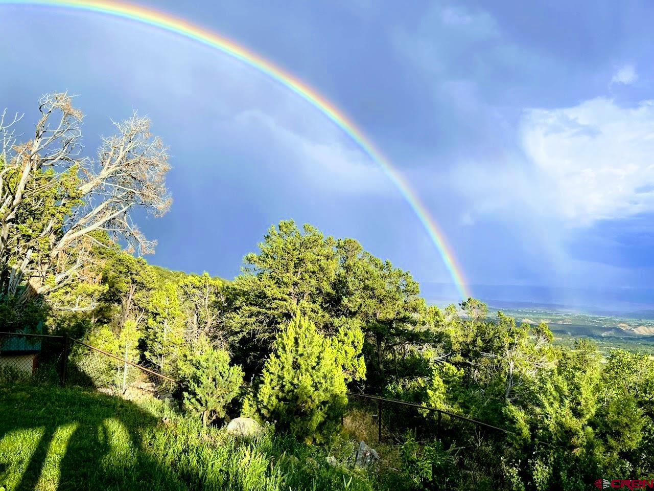 20613 High Park Road Cedaredge, CO 81413 - Photo 9 of 35