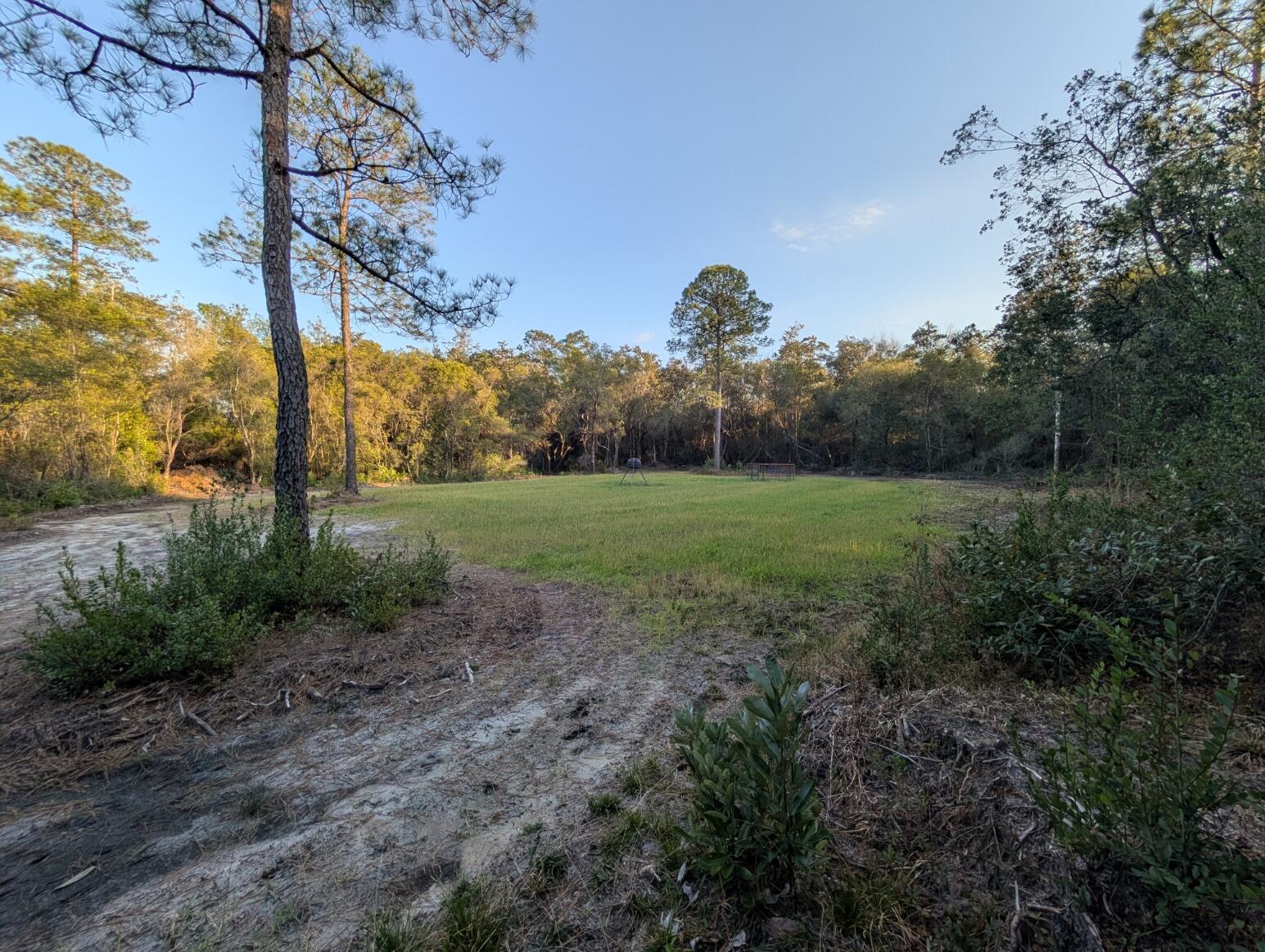 Tbd Sowell Drive Crestview, FL 32539 - Photo 11 of 37 a view of a field with a tree in the background