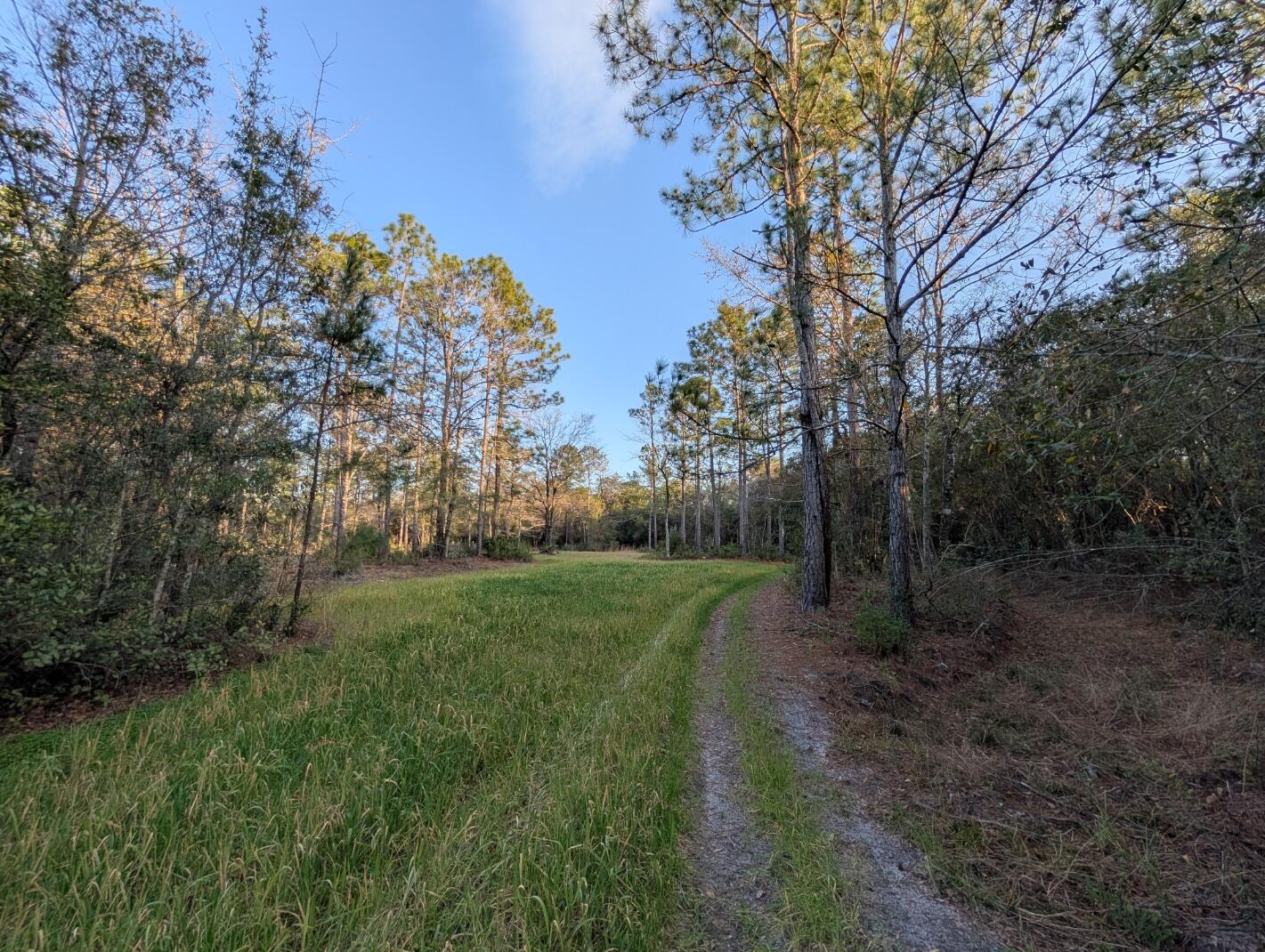 Tbd Sowell Drive Crestview, FL 32539 - Photo 13 of 37 a view of a park with large trees