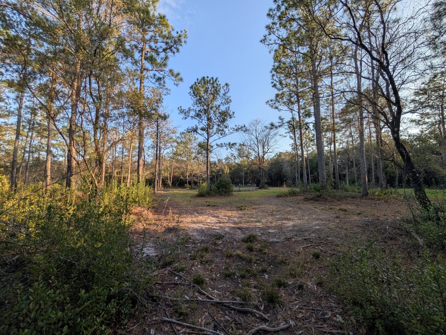 Tbd Sowell Drive Crestview, FL 32539 - Photo 15 of 37 a view of outdoor space with trees all around