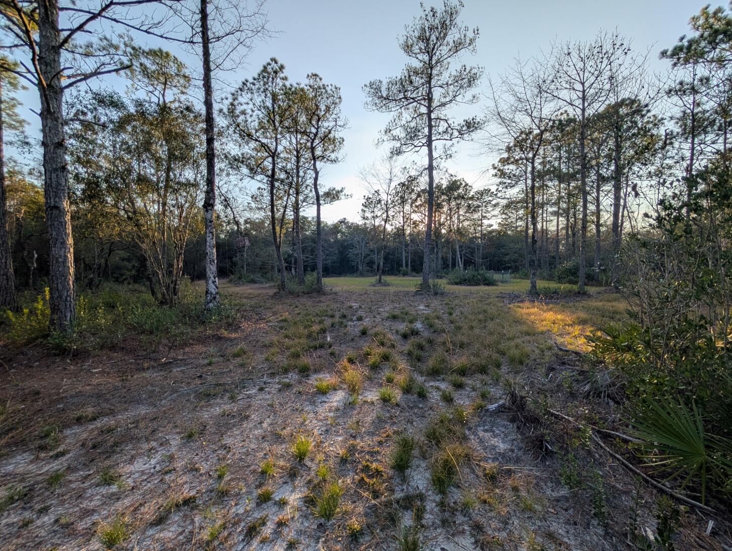 Tbd Sowell Drive Crestview, FL 32539 - Photo 18 of 37 a view of outdoor space with trees all around
