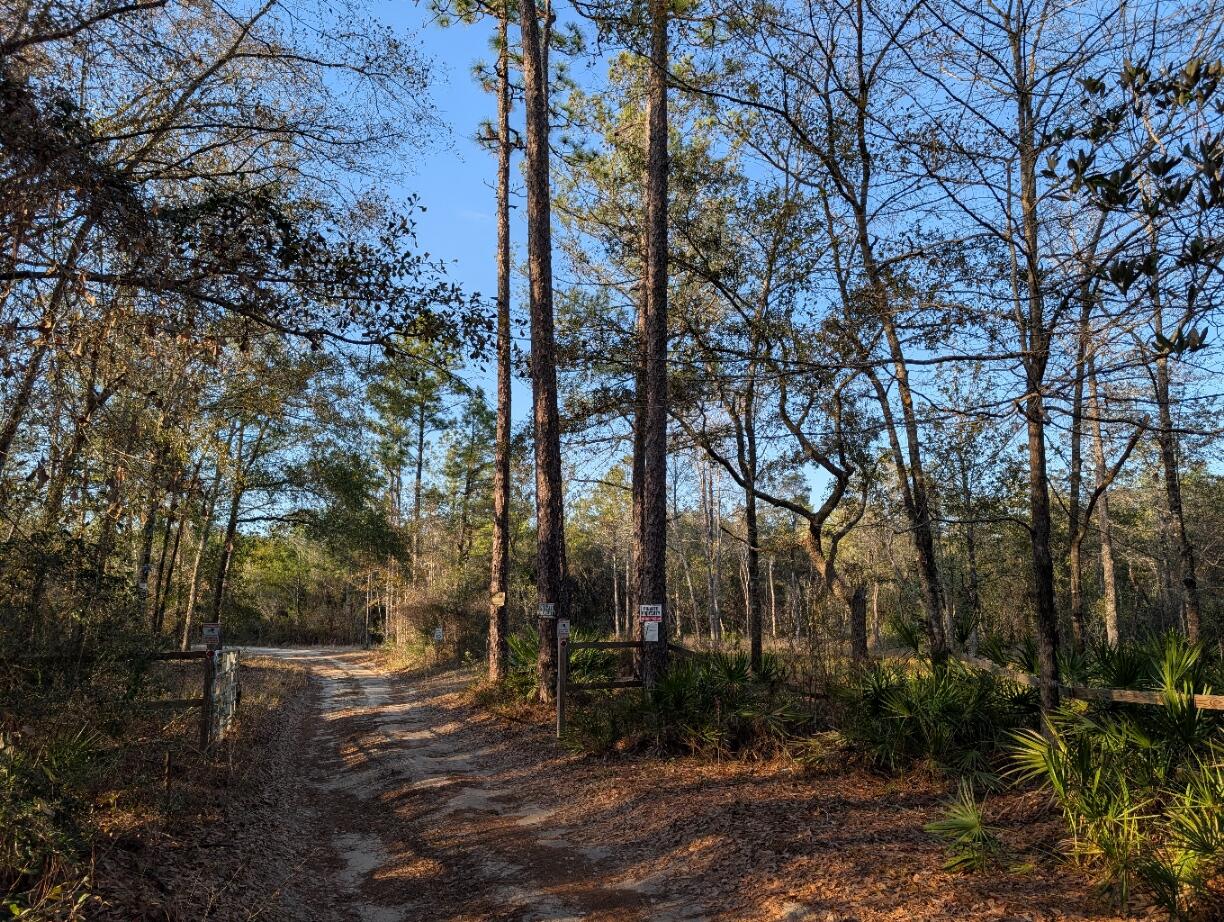 Tbd Sowell Drive Crestview, FL 32539 - Photo 2 of 37 a view of a park with large trees