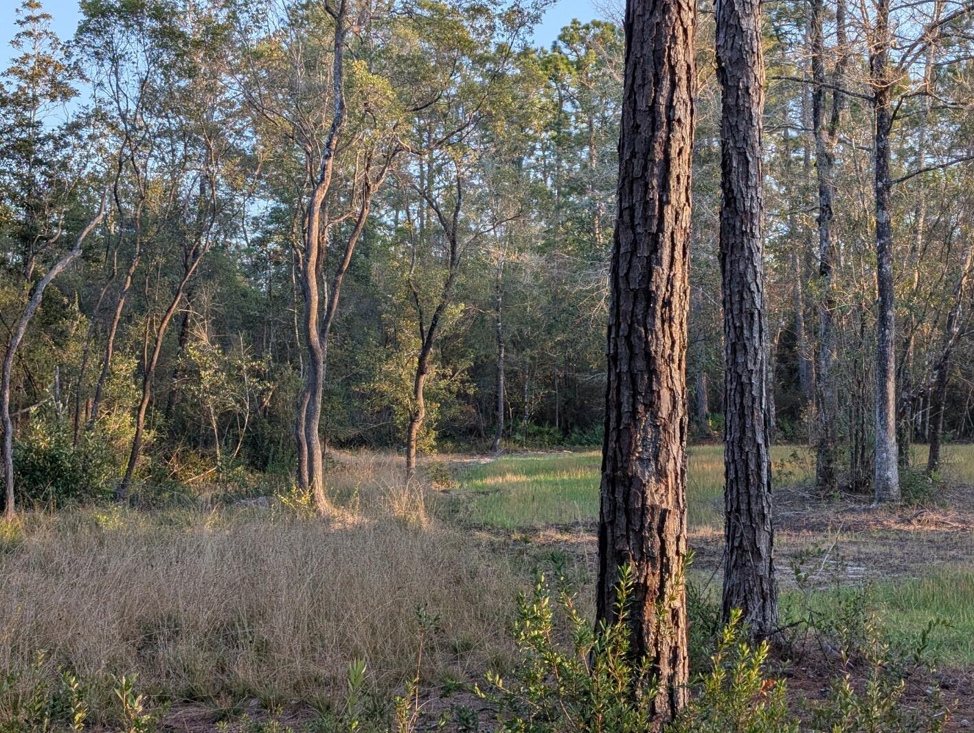 Tbd Sowell Drive Crestview, FL 32539 - Photo 21 of 37 a view of outdoor space and yard