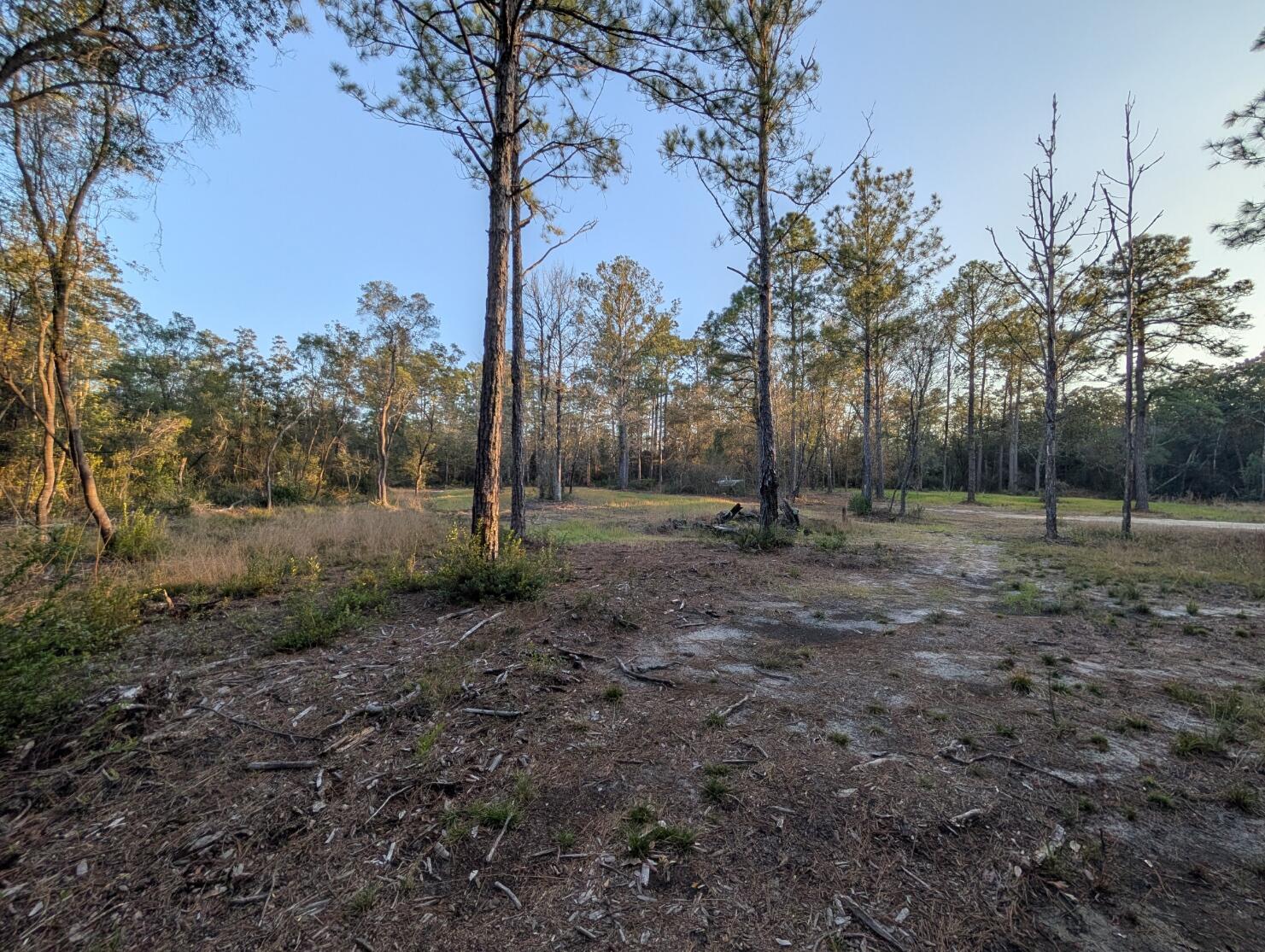 Tbd Sowell Drive Crestview, FL 32539 - Photo 22 of 37 a view of outdoor space with green space