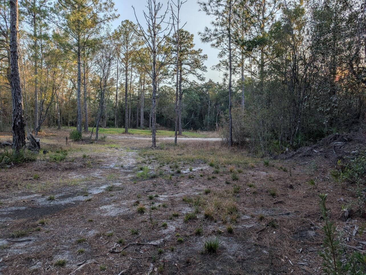 Tbd Sowell Drive Crestview, FL 32539 - Photo 24 of 37 a view of dirt yard with trees