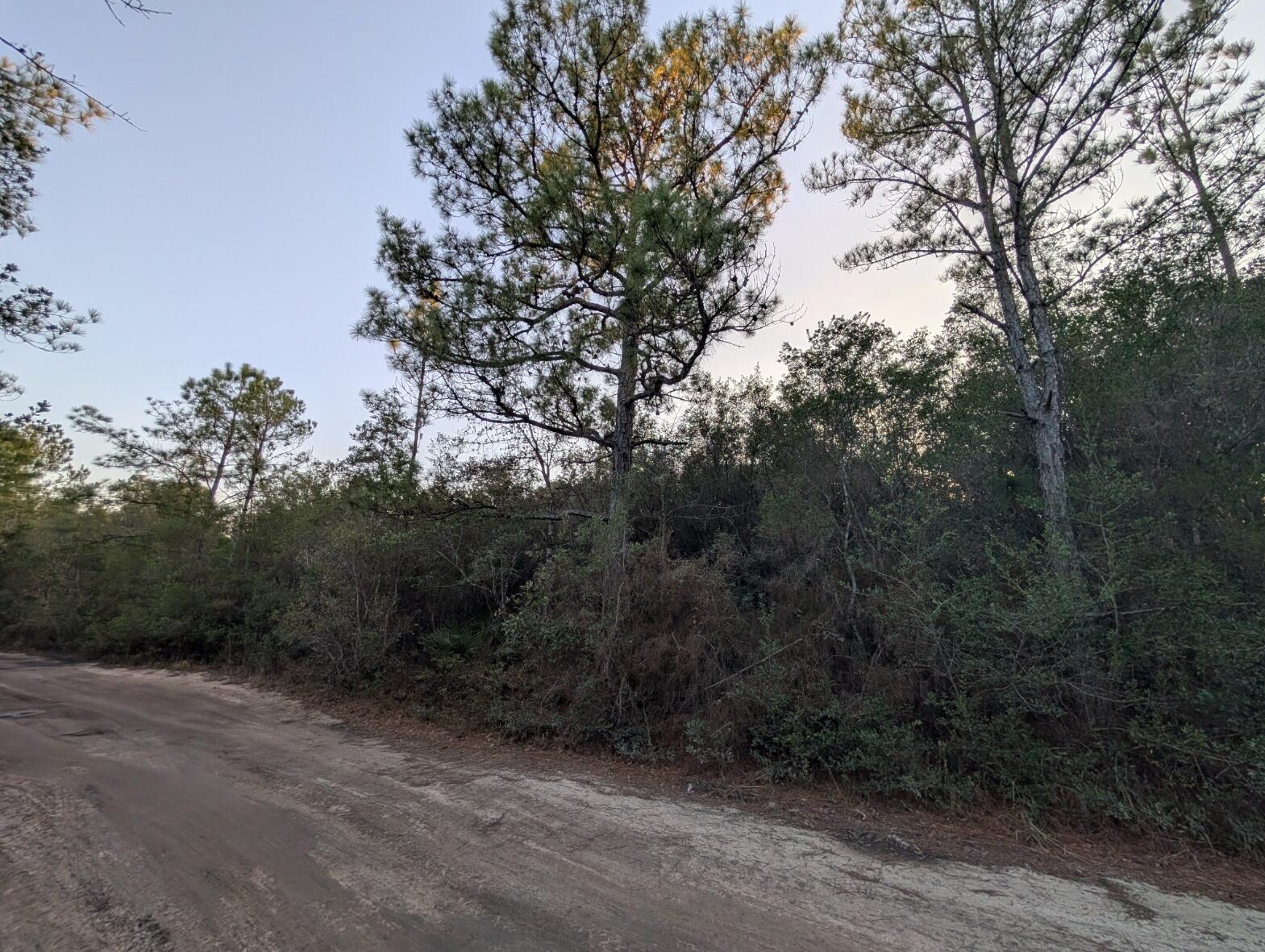 Tbd Sowell Drive Crestview, FL 32539 - Photo 25 of 37 a view of a forest with trees in the background