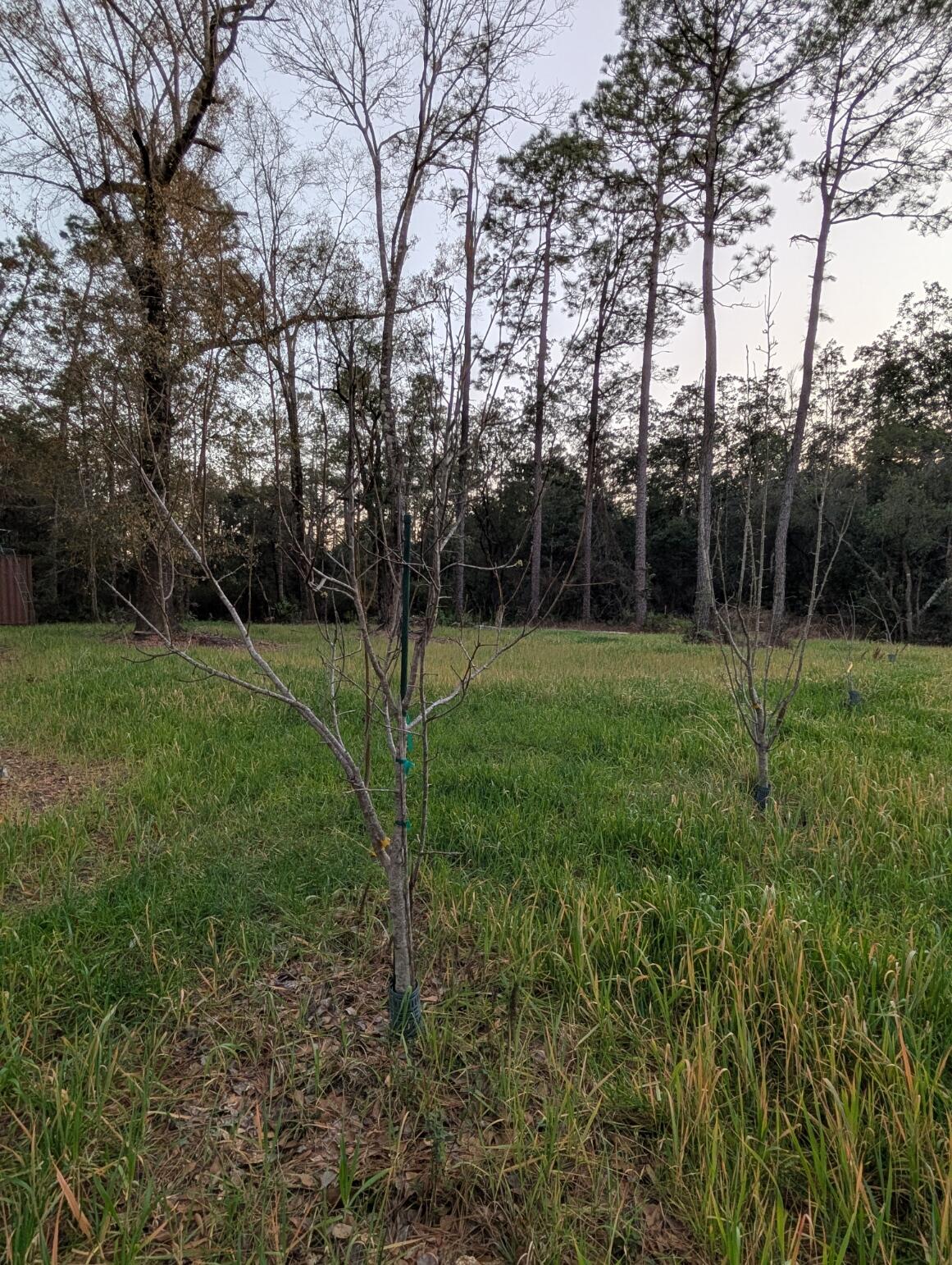Tbd Sowell Drive Crestview, FL 32539 - Photo 36 of 37 a view of a park
