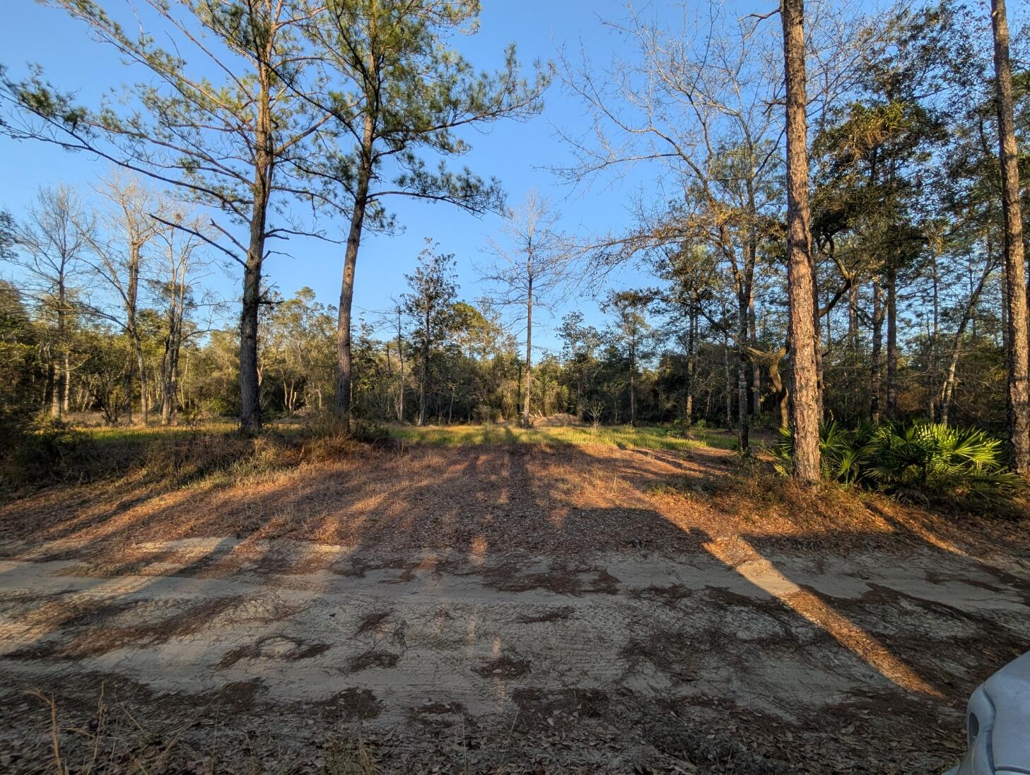Tbd Sowell Drive Crestview, FL 32539 - Photo 5 of 37 a view of dirt yard with a large tree