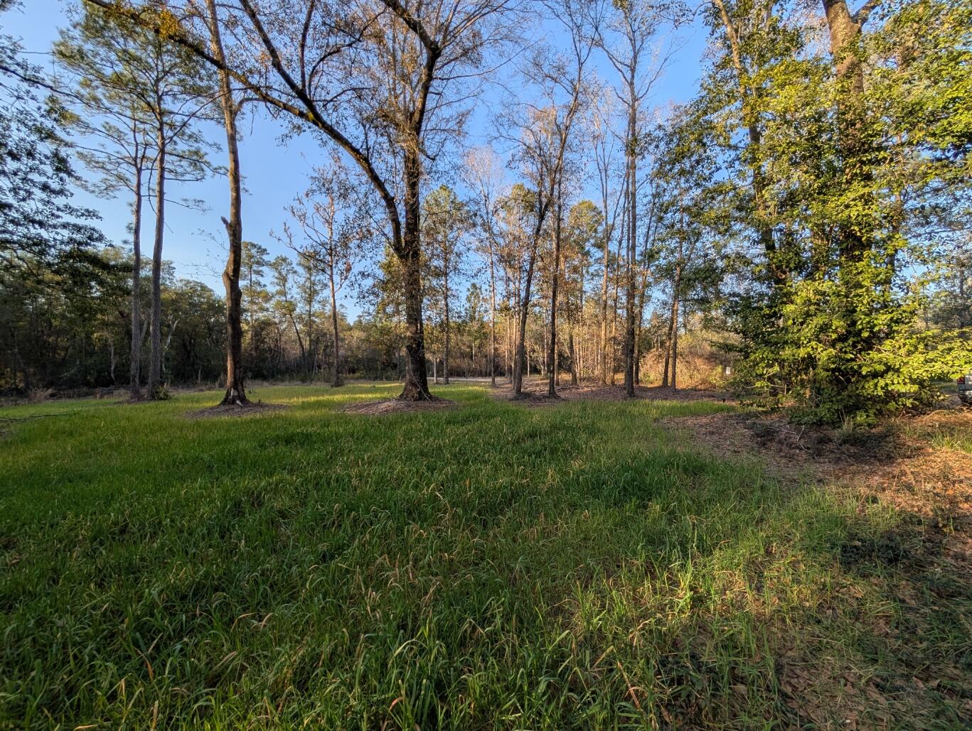 Tbd Sowell Drive Crestview, FL 32539 - Photo 9 of 37 a view of park with trees