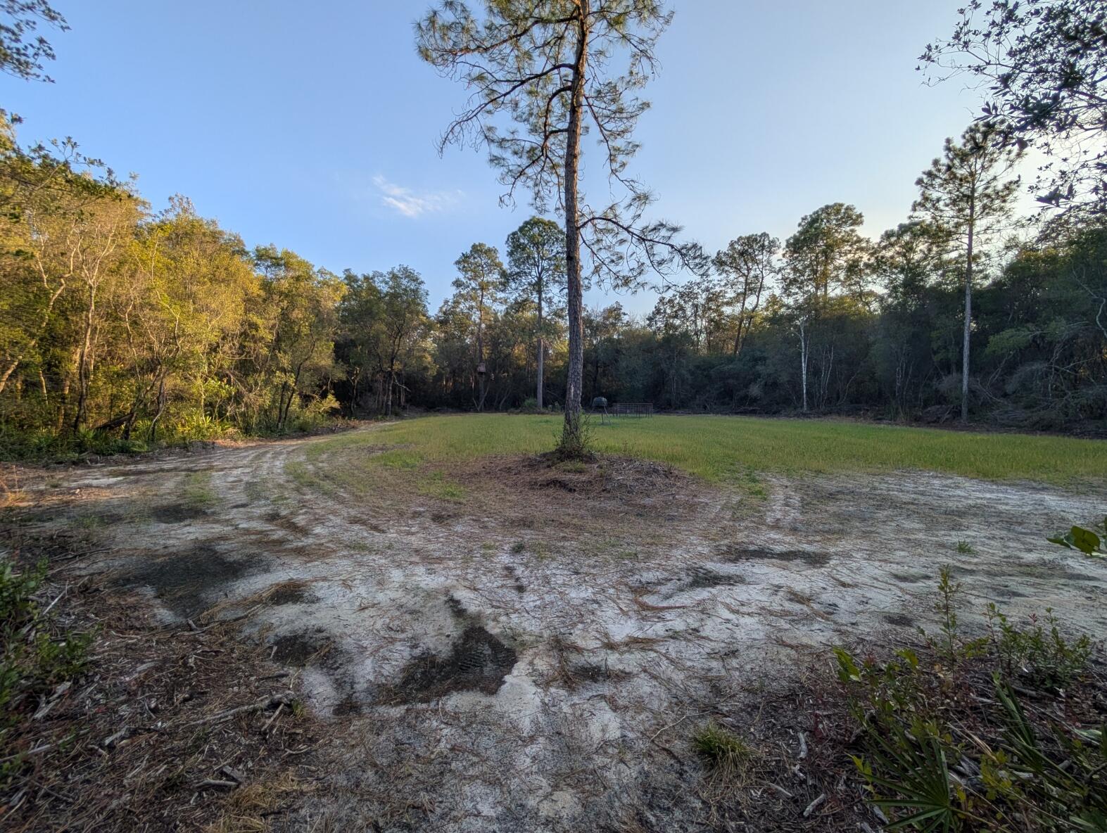 Tbd Sowell Drive Crestview, FL 32539 - Photo 10 of 37 a view of outdoor space with trees all around
