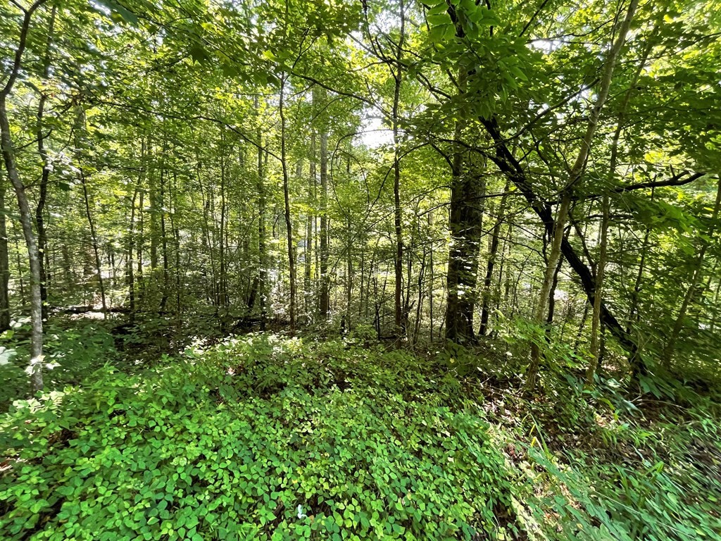 14 Alpine Drive Sevierville, TN 37876 - Photo 12 of 12