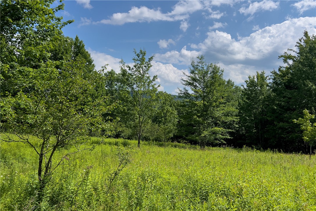 Lot 23 Lynch Road Delhi, NY 13753 - Photo 24 of 50 Gallery Image 24