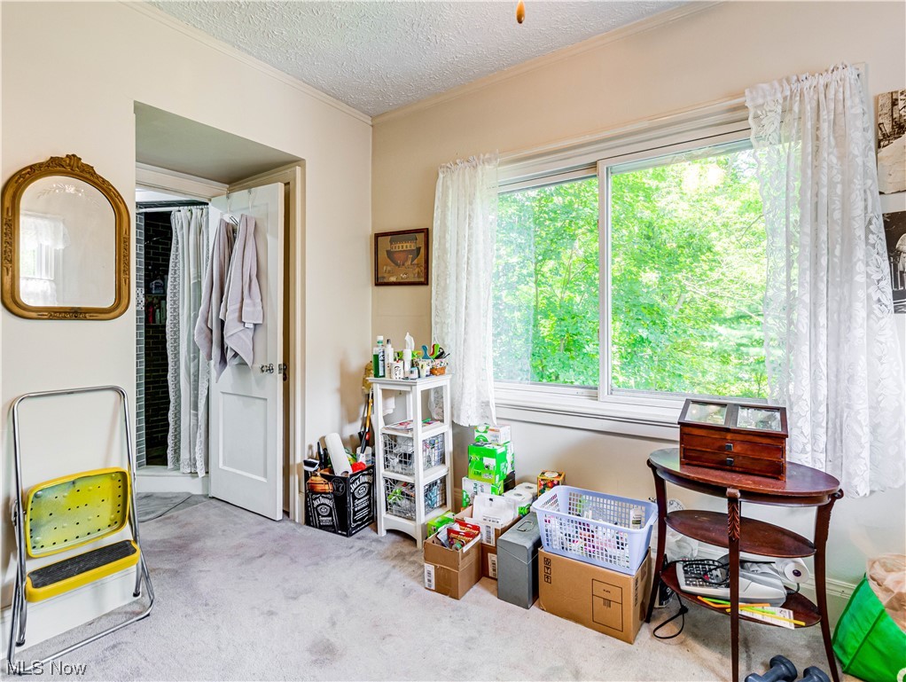 289 Merriman Road Akron, OH 44303 - Photo 18 of 32 Gallery Image 18