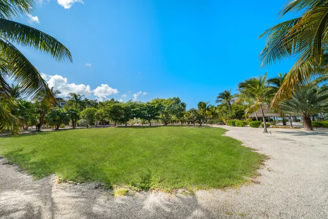 a view of a park with palm trees