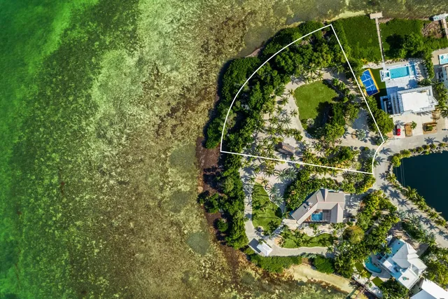 a picture of flowers