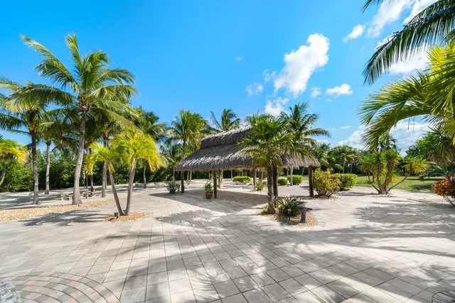 a view of a park with palm trees