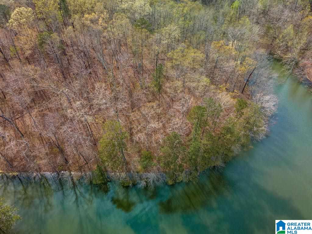 Smith Lake Dam Road Jasper, AL 35504 - Photo 12 of 15