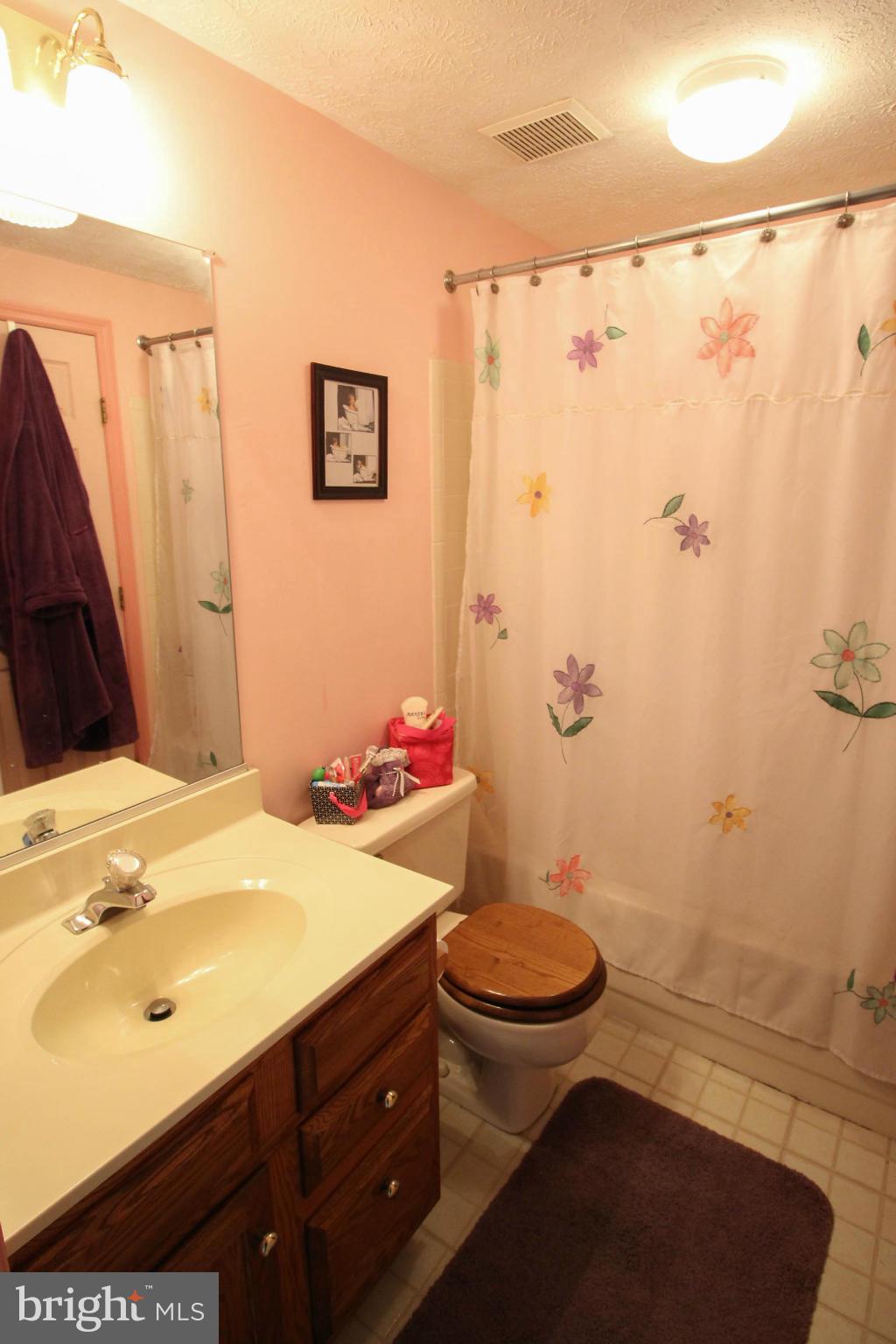 2242 Riding Crop Way Baltimore, MD 21244 - Photo 19 of 20 a bathroom with a sink toilet and shower