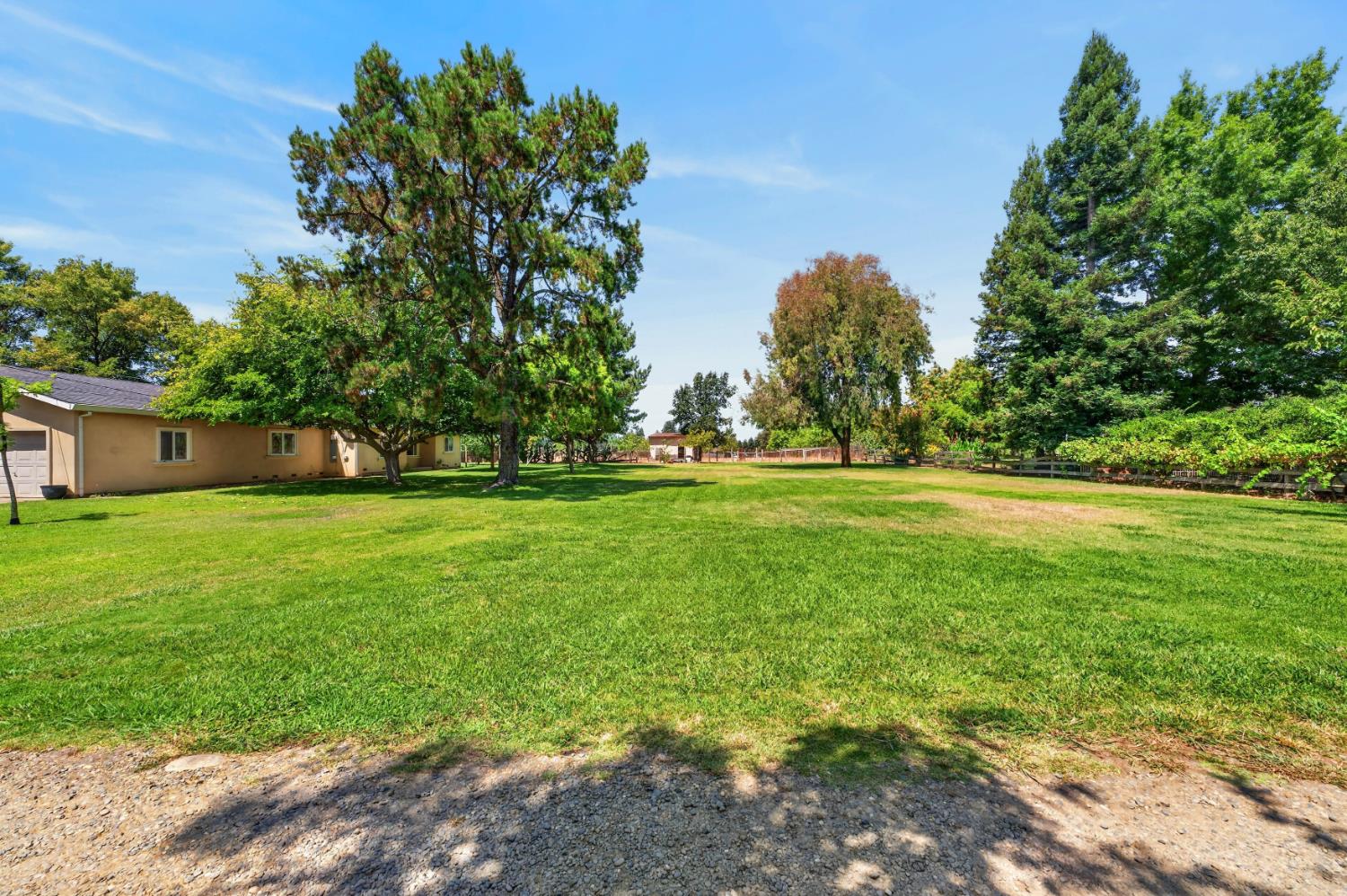 8986 Mooney Road Elk Grove, CA 95624 - Photo 7 of 92 Gallery Image 7