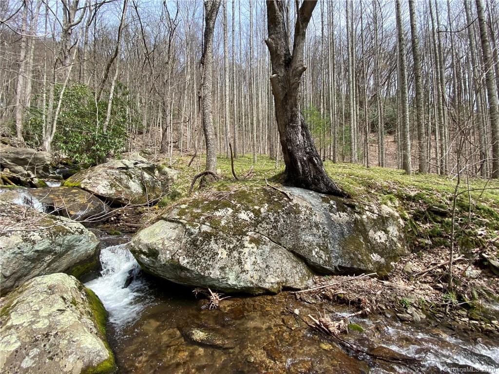 2270 Roaring Fork Road Hot Springs, NC 28743 - Photo 22 of 25 Gallery Image 22
