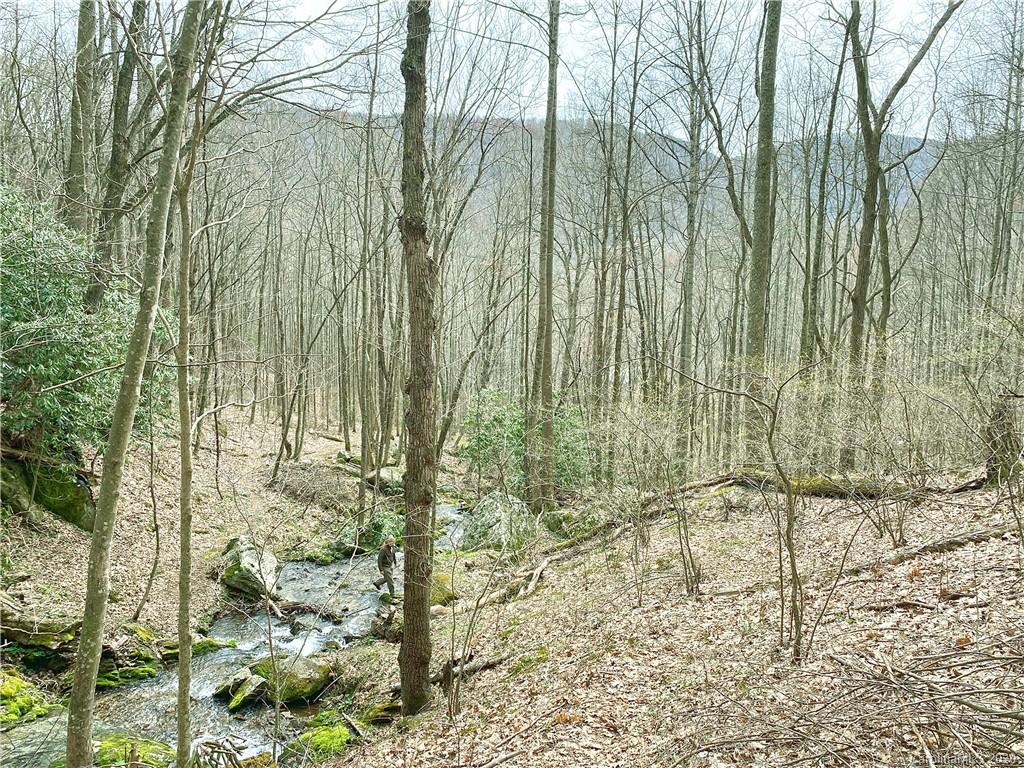2270 Roaring Fork Road Hot Springs, NC 28743 - Photo 8 of 25 Gallery Image 8