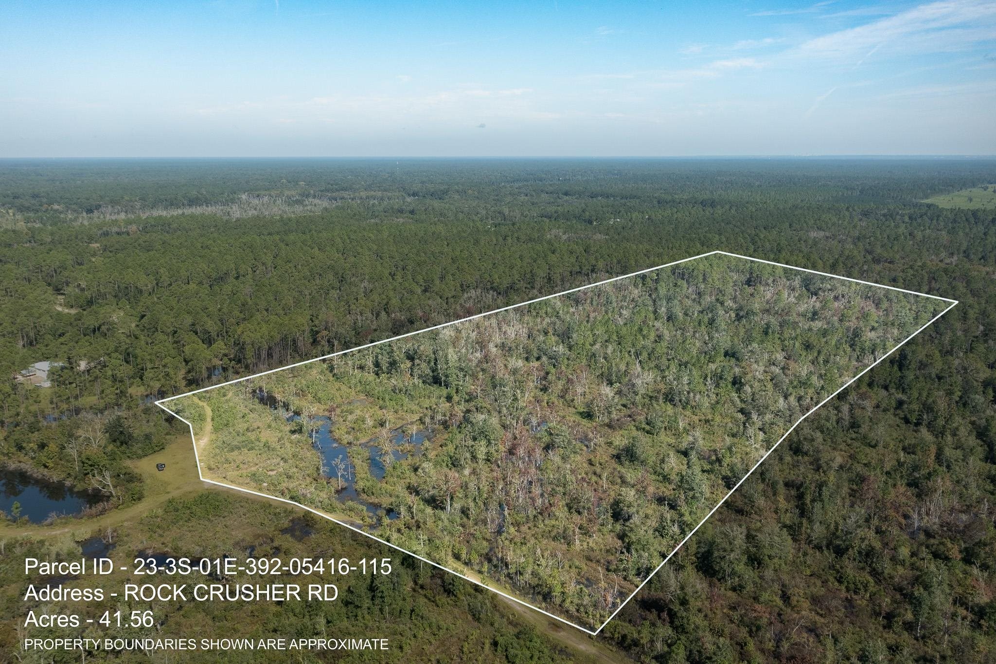 Lot 15 Growing Timbers Road Crawfordville, FL 32327 - Photo 1 of 7 Gallery Image 1