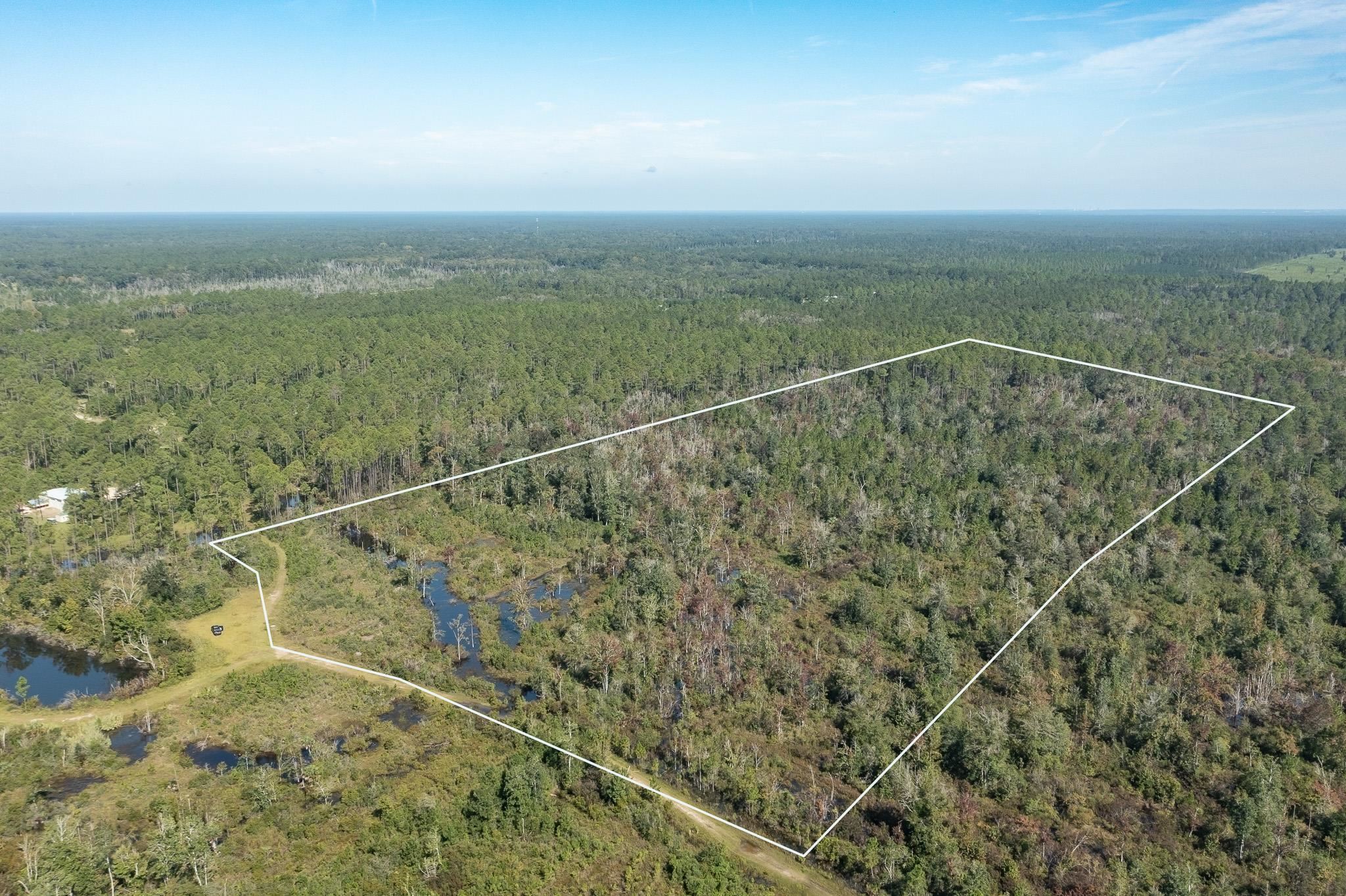 Lot 15 Growing Timbers Road Crawfordville, FL 32327 - Photo 3 of 7 Gallery Image 3