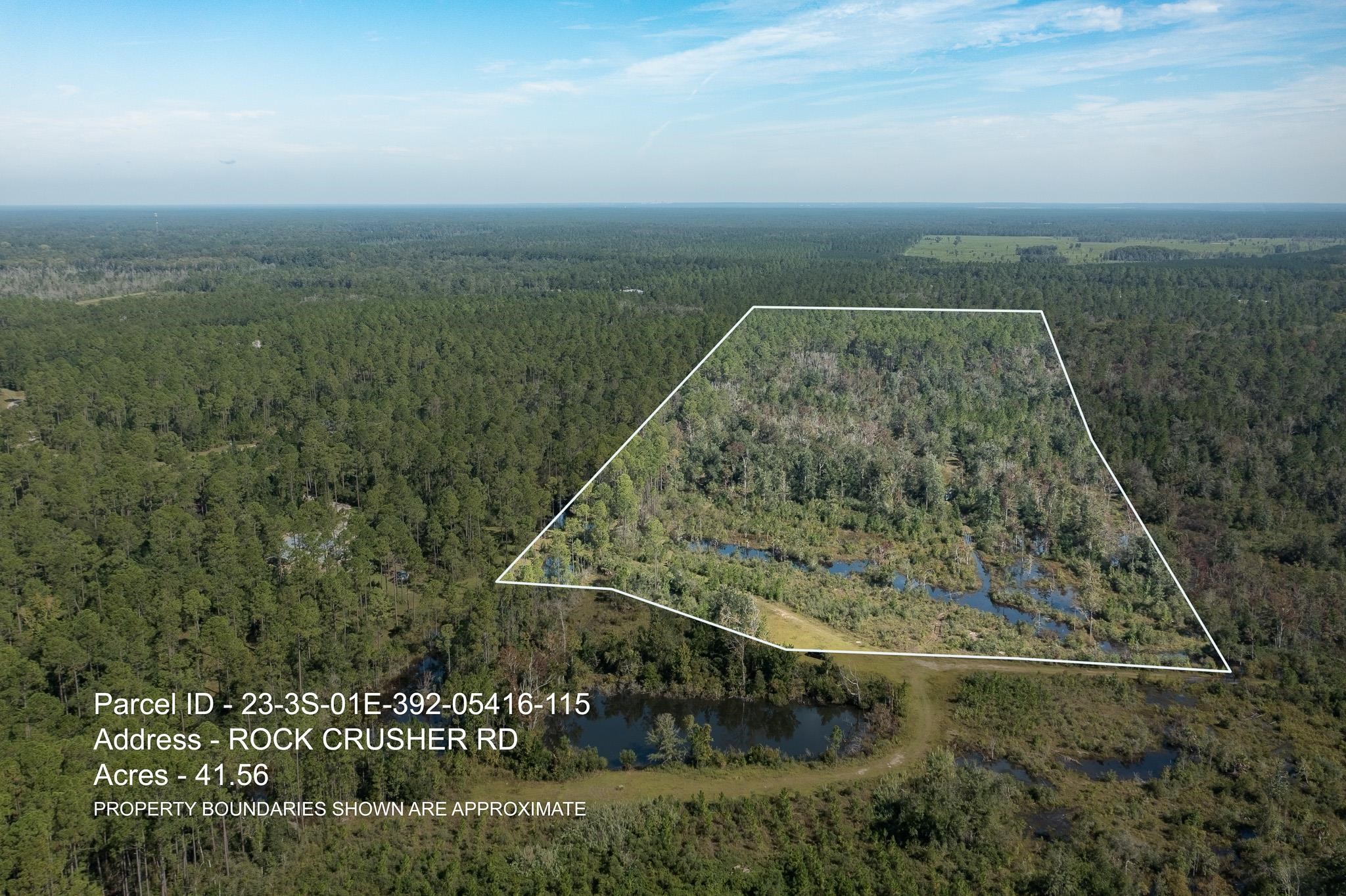 Lot 15 Growing Timbers Road Crawfordville, FL 32327 - Photo 4 of 7 Gallery Image 4