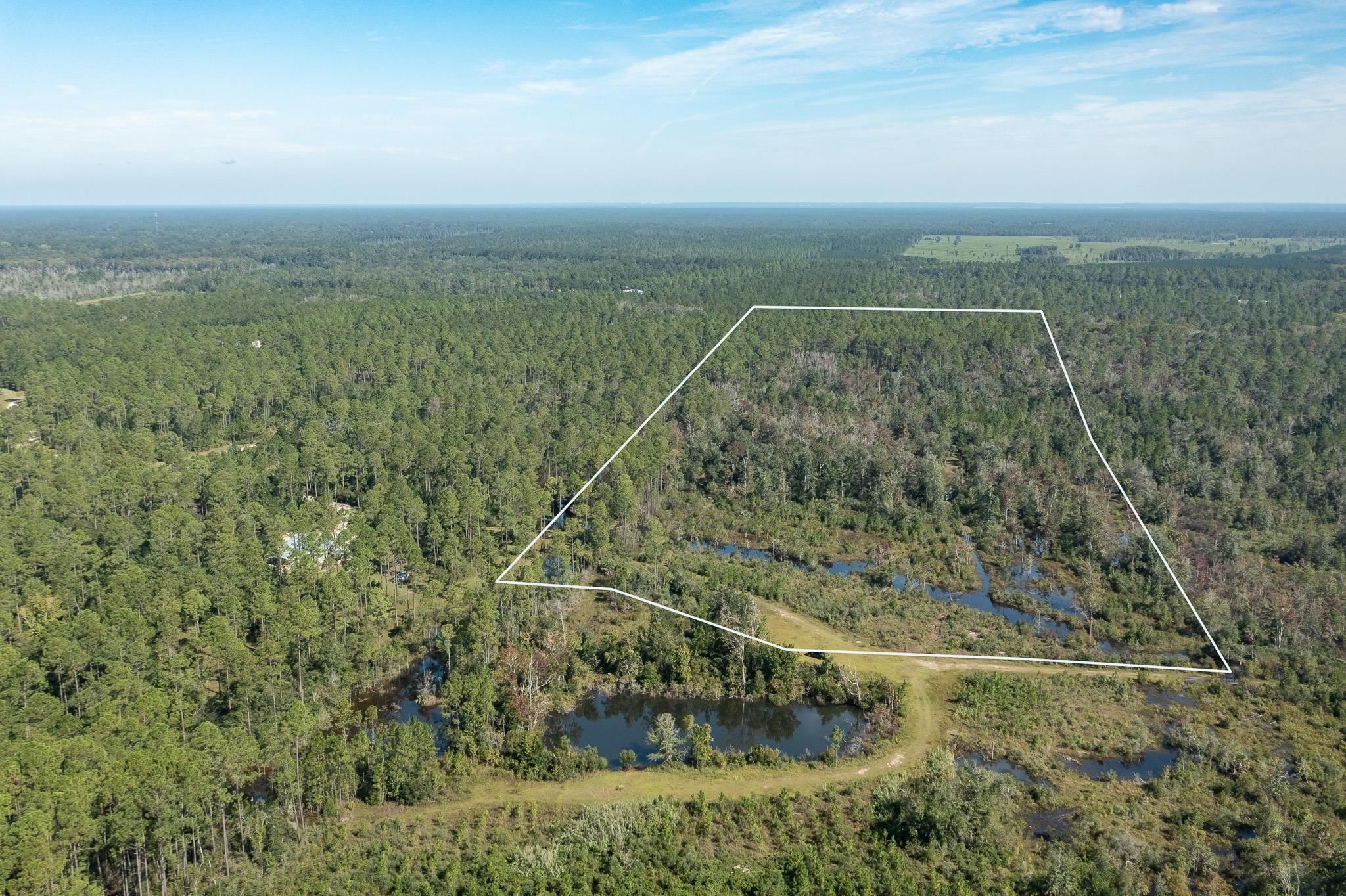 Lot 15 Growing Timbers Road Crawfordville, FL 32327 - Photo 5 of 7 Gallery Image 5