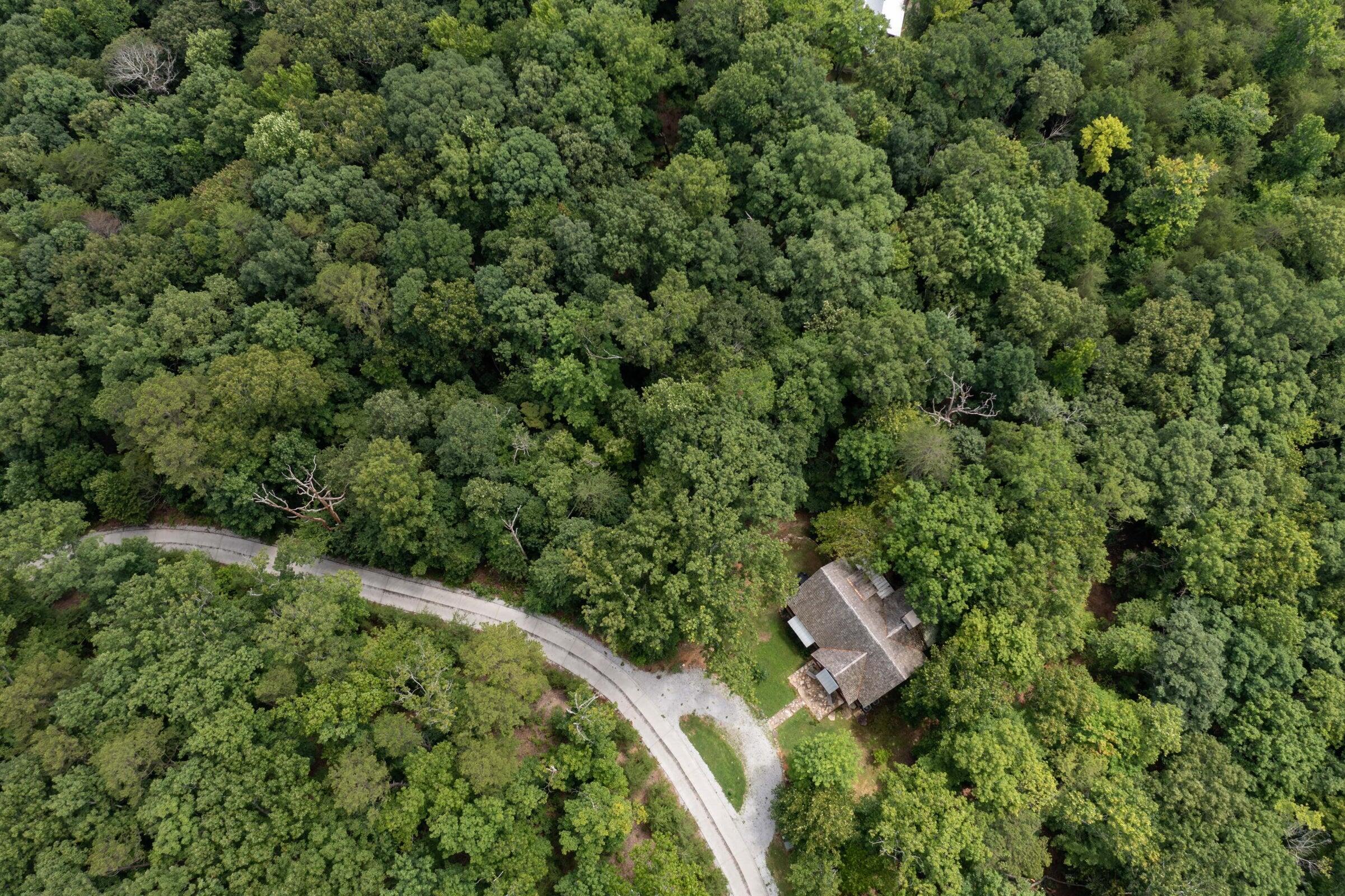 0 Valley Rim Drive, Unit 63 Chickamauga, GA 30707 - Photo 4 of 44 20240921192633676413000000-o