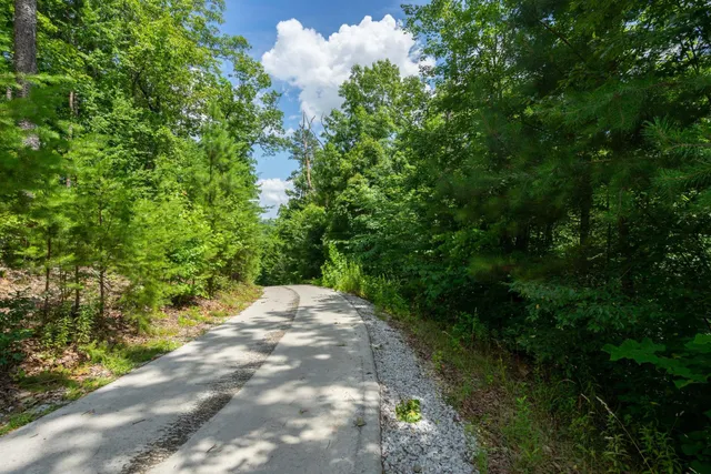 $110,000 | 0 Valley Rim Drive, Unit 63, Chickamauga, GA 30707