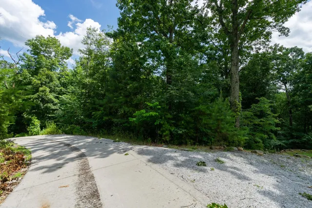 $110,000 | 0 Valley Rim Drive, Unit 63, Chickamauga, GA 30707