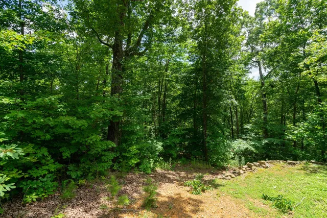 $110,000 | 0 Valley Rim Drive, Unit 63, Chickamauga, GA 30707