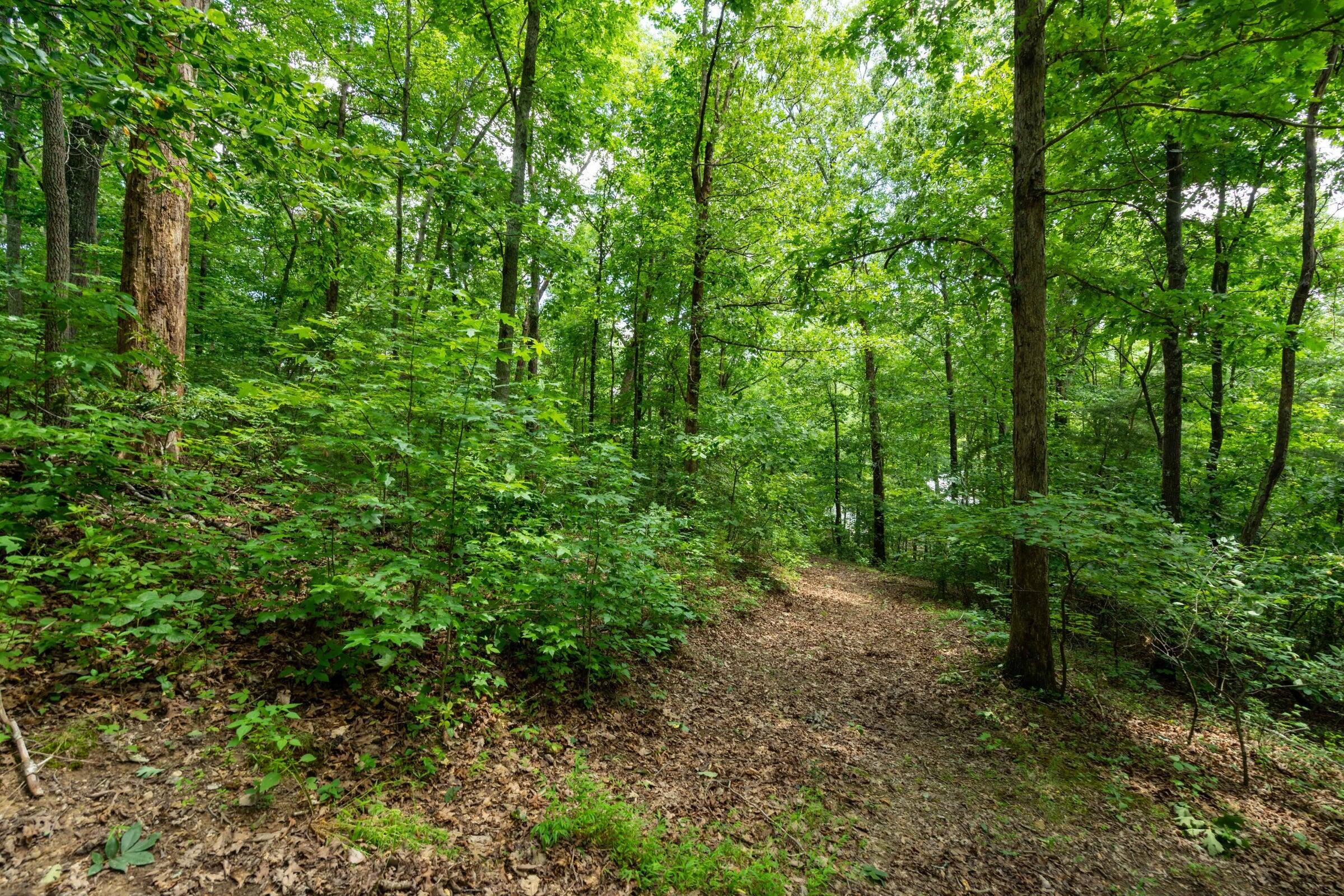 0 Valley Rim Drive, Unit 63 Chickamauga, GA 30707 - Photo 9 of 44 20240921192645899385000000-o