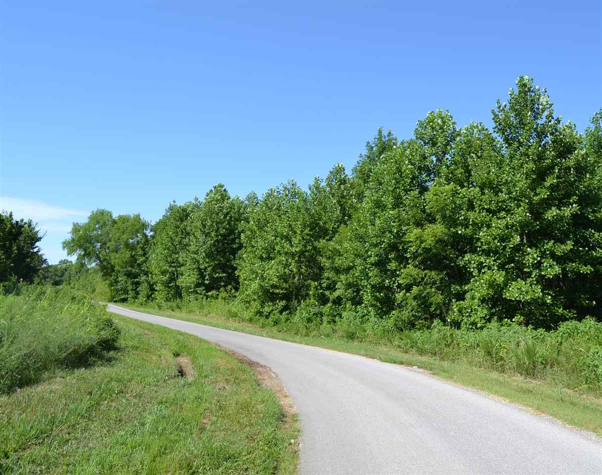 0 Patterson Road Smiths Grove, KY 42171 - Photo 2 of 9 Gallery Image 2
