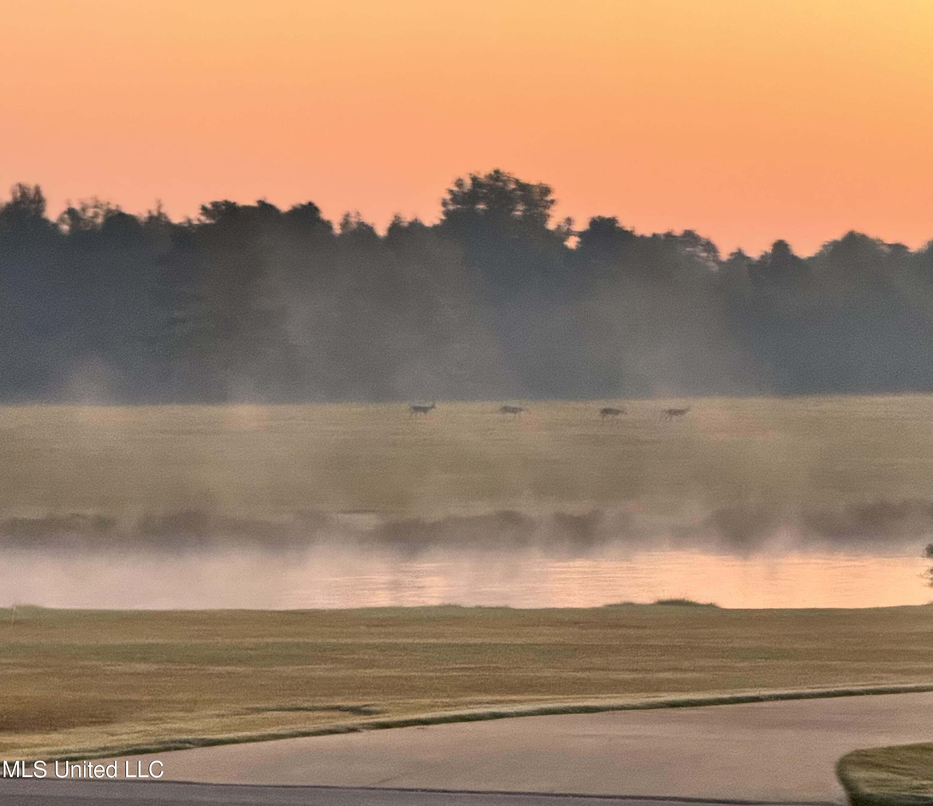211 Glenmore Street Corinth, MS 38834 - Photo 46 of 46 Front door view