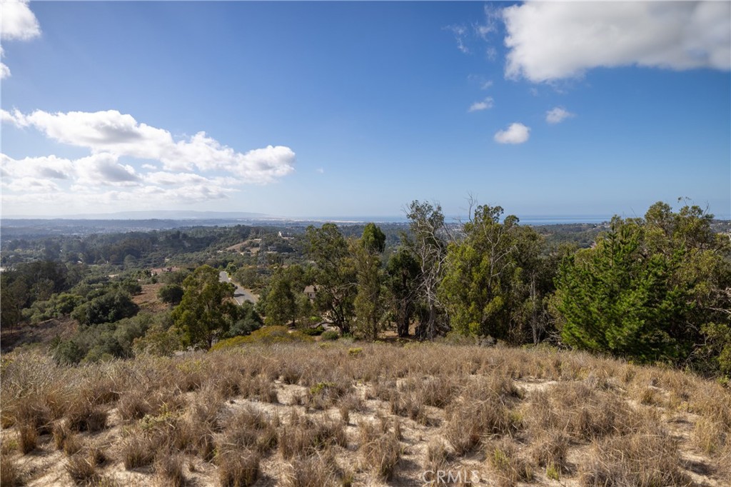 1190 Montecito Ridge Drive Arroyo Grande, CA 93420 - Photo 8 of 10 a view of a field with trees in the background