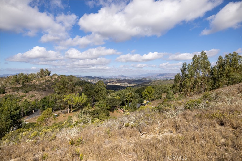 1190 Montecito Ridge Drive Arroyo Grande, CA 93420 - Photo 9 of 10 a view of a bunch of trees and houses