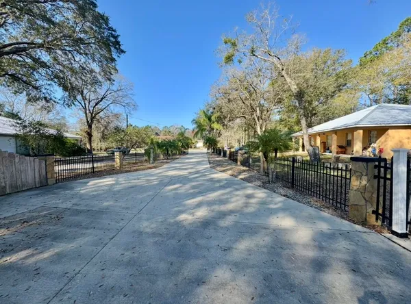 a view of a park with plants and trees