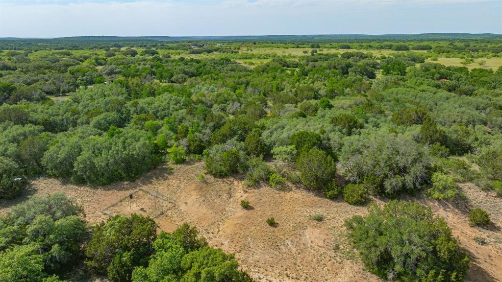 136 Moose Trail Ranger, TX 76470 - Photo 29 of 40 a view of a yard with a street