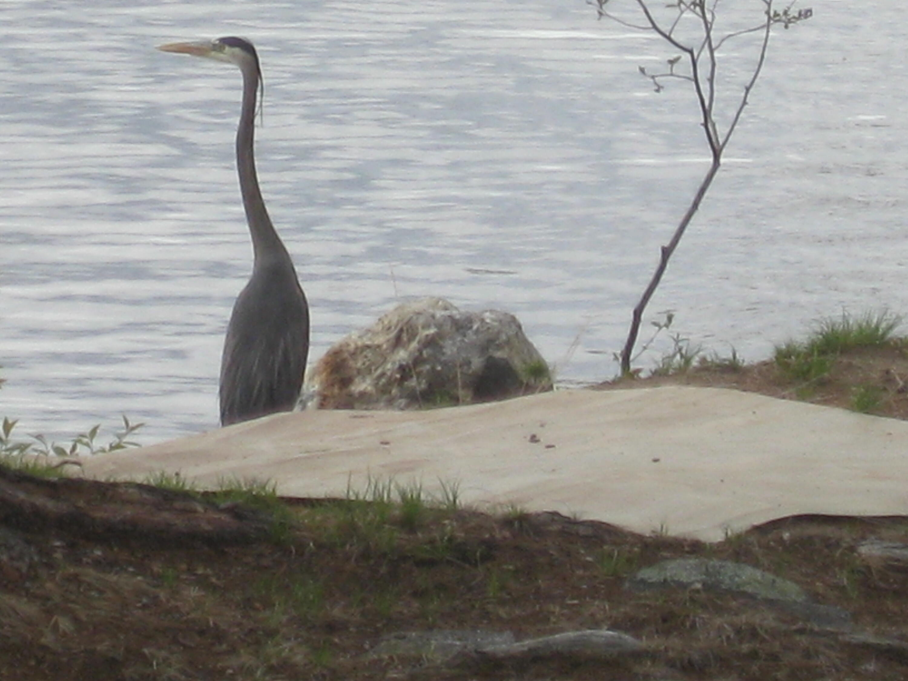 8 Hollow Point Road Casco, ME 04015 - Photo 34 of 43 IMG_4399