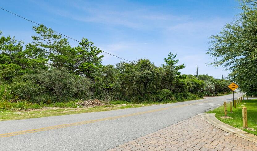 37 South Orange Street Inlet Beach, FL 32461 - Photo 8 of 22 a view of a yard with potted plants