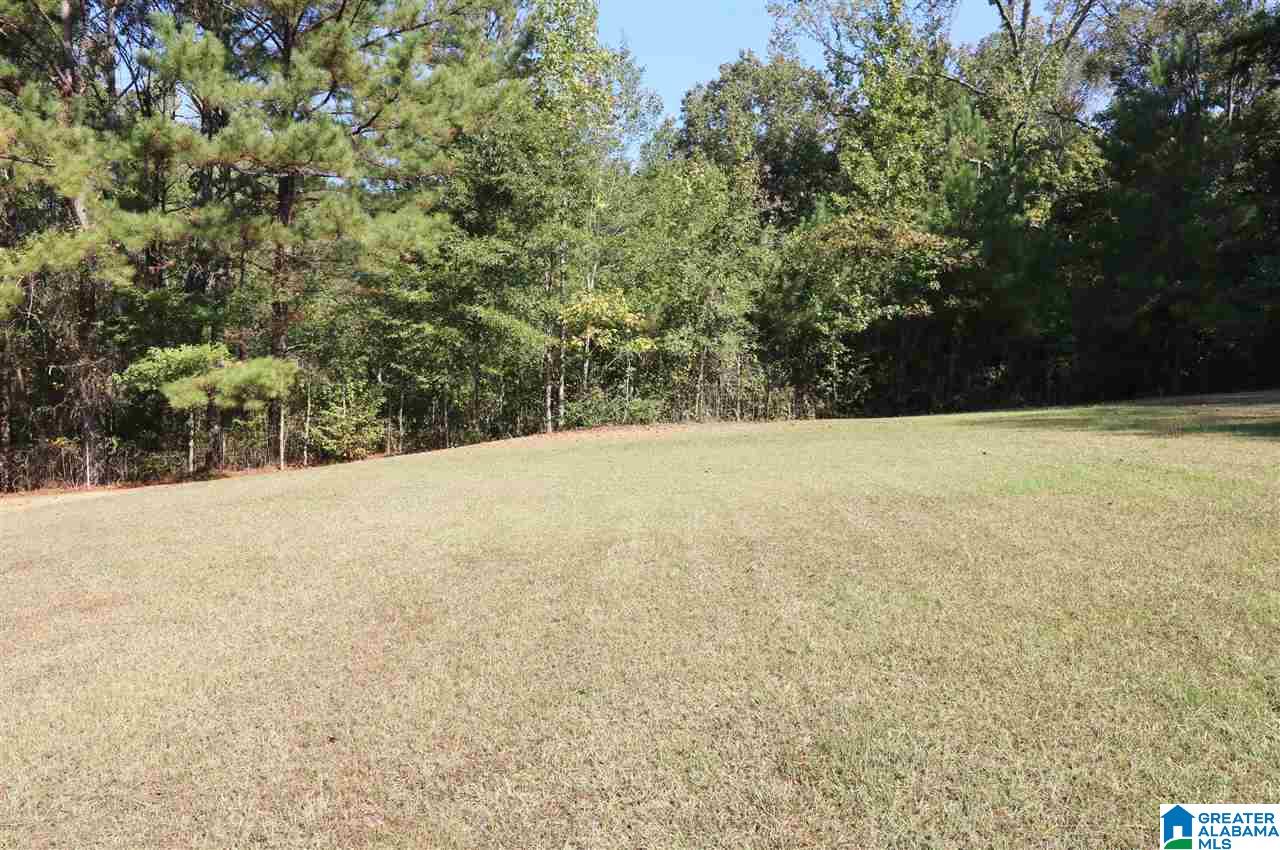 249 Greensport Road Ashville, AL 35953 - Photo 36 of 40