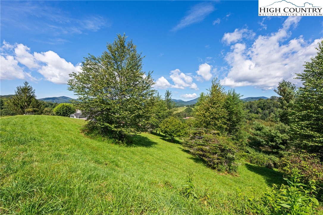 Lot 18 Charity Drive Boone, NC 28607 - Photo 13 of 18 a view of a bunch of flowers in a yard