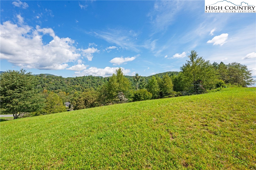 Lot 18 Charity Drive Boone, NC 28607 - Photo 4 of 18 a view of a yard with an trees