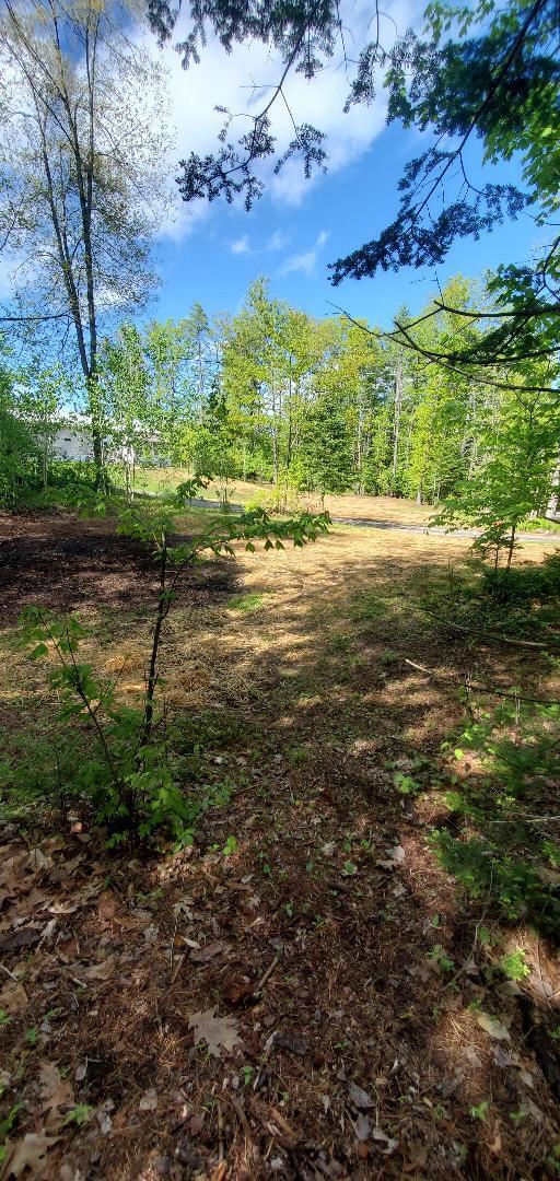 129 Pinewoods Road Lisbon, ME 04250 - Photo 24 of 24 side front yard