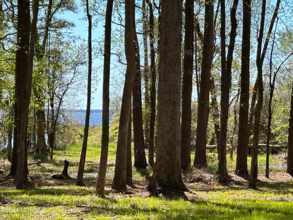 $149,000 | 115 Waterford Drive, Bath, NC 27808