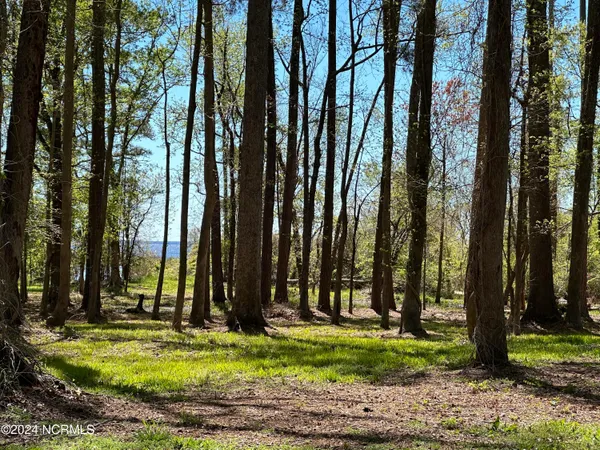 $149,000 | 115 Waterford Drive, Bath, NC 27808