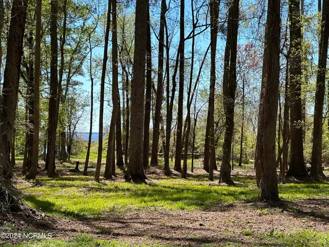 $149,000 | 115 Waterford Drive, Bath, NC 27808