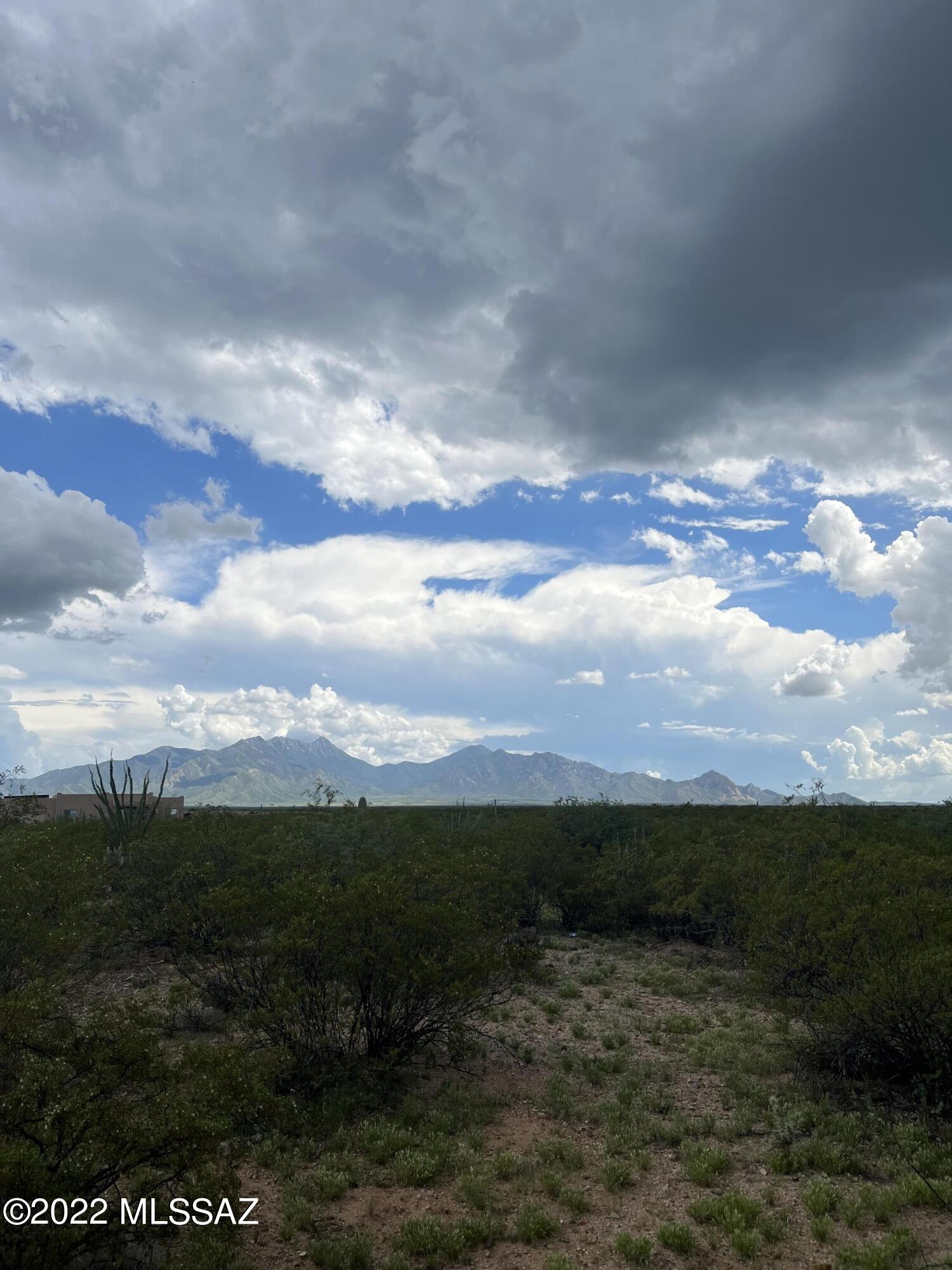 172 North Rustic Ridge Place, Unit 35 Sahuarita, AZ 85629 - Photo 12 of 14